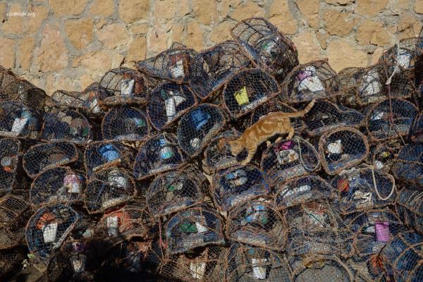 Essaouira