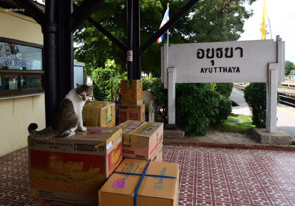 Ayutthaya