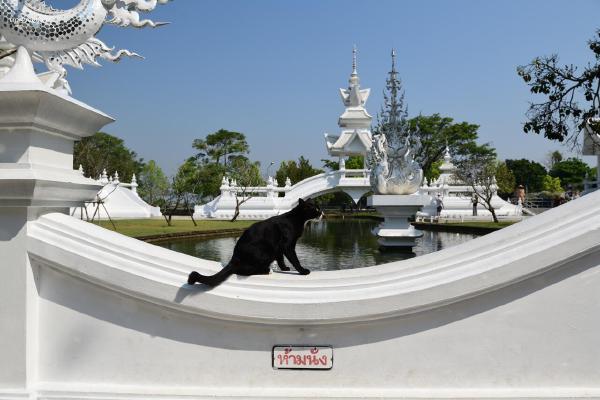 Chaing Rai